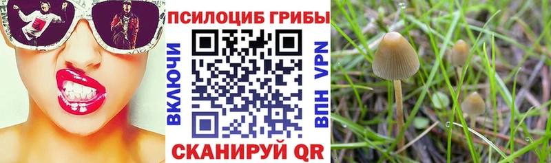 Галлюциногенные грибы прущие грибы  МЕГА ссылки  Гаврилов Посад 